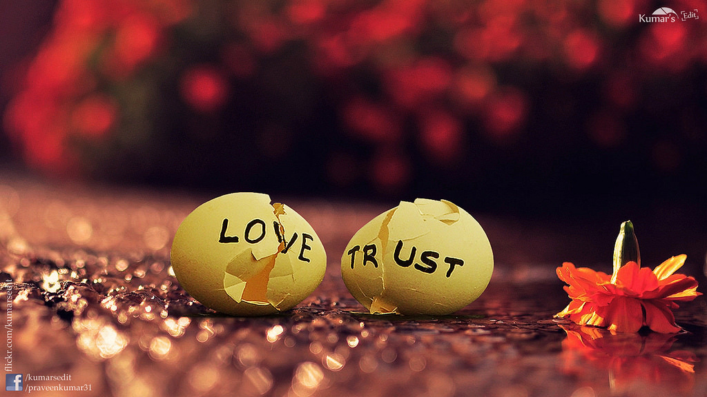 Image of broken eggs with trust and love on them | Betrayal Counseling Columbus Ohio